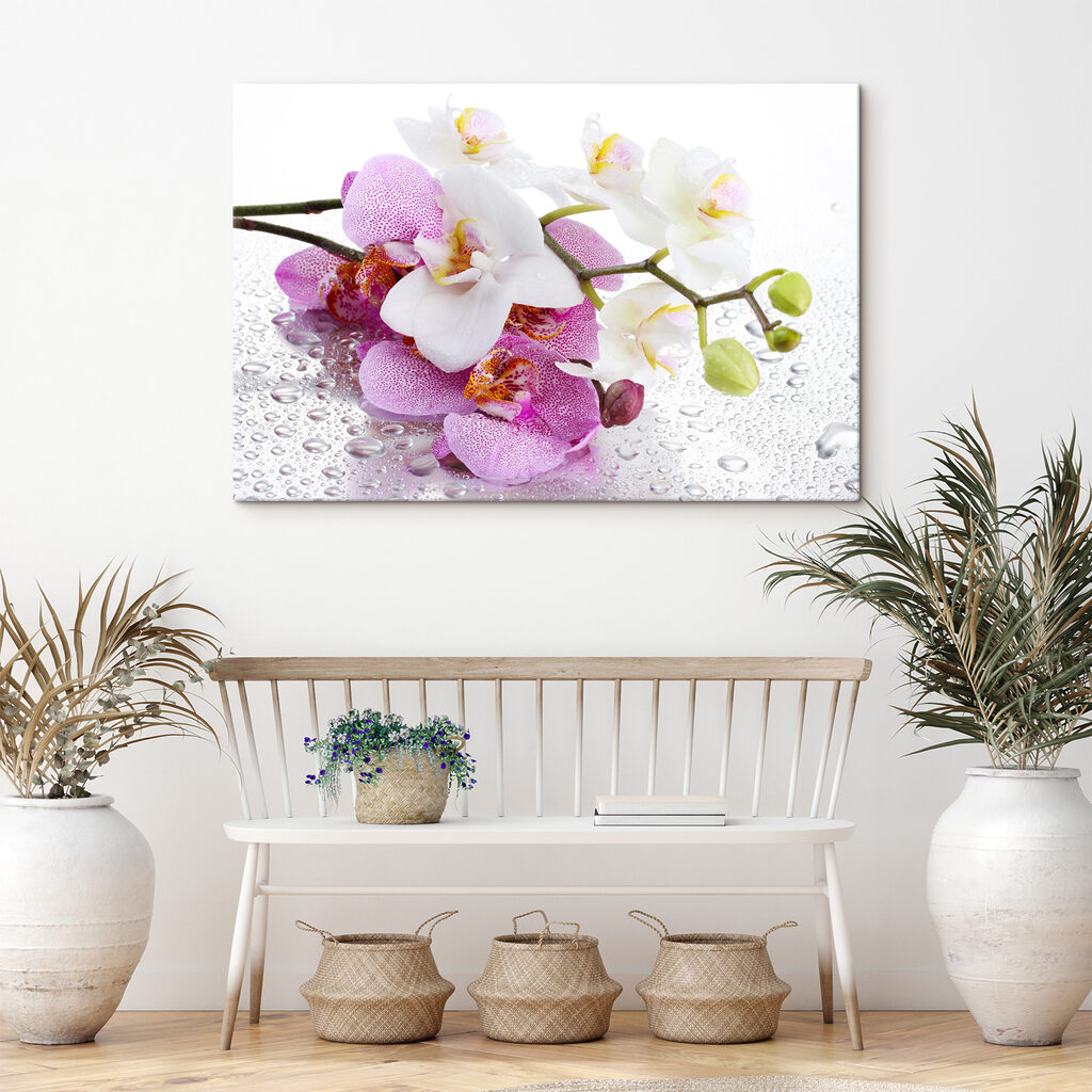 Orchideje s rosou — interiér 5