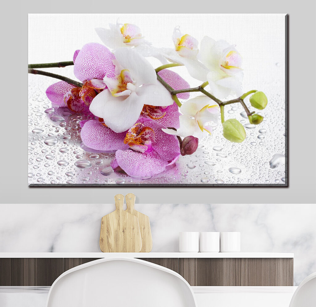 Orchideje s rosou — interiér 1