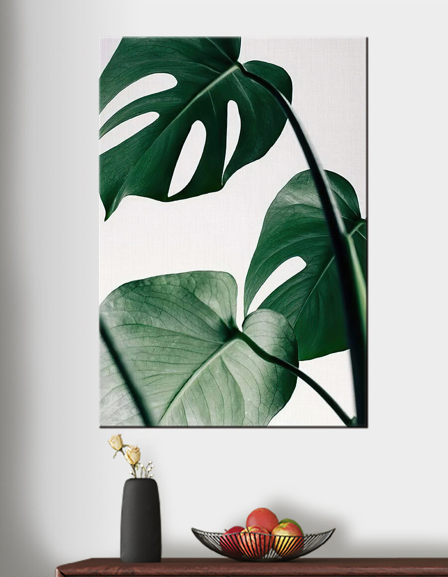 Monstera na světlém pozadí — interiér 2
