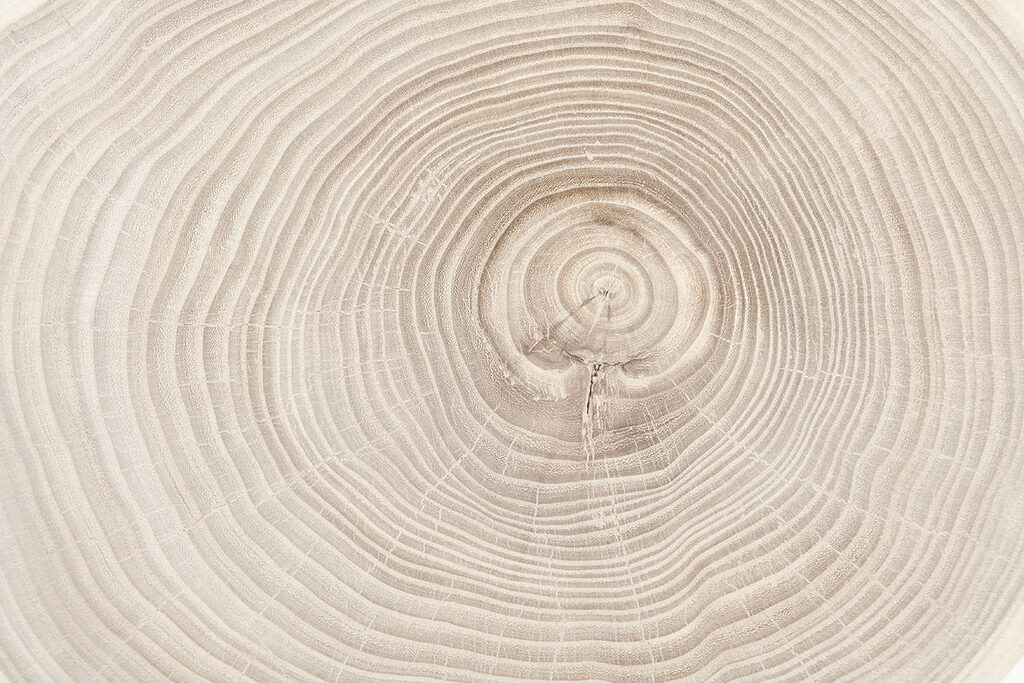 Letokruhy zblízka — celý design