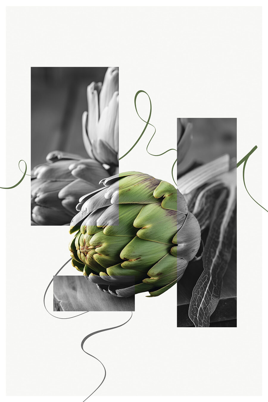 Artyčok mezi fotografickými plochami — celý design