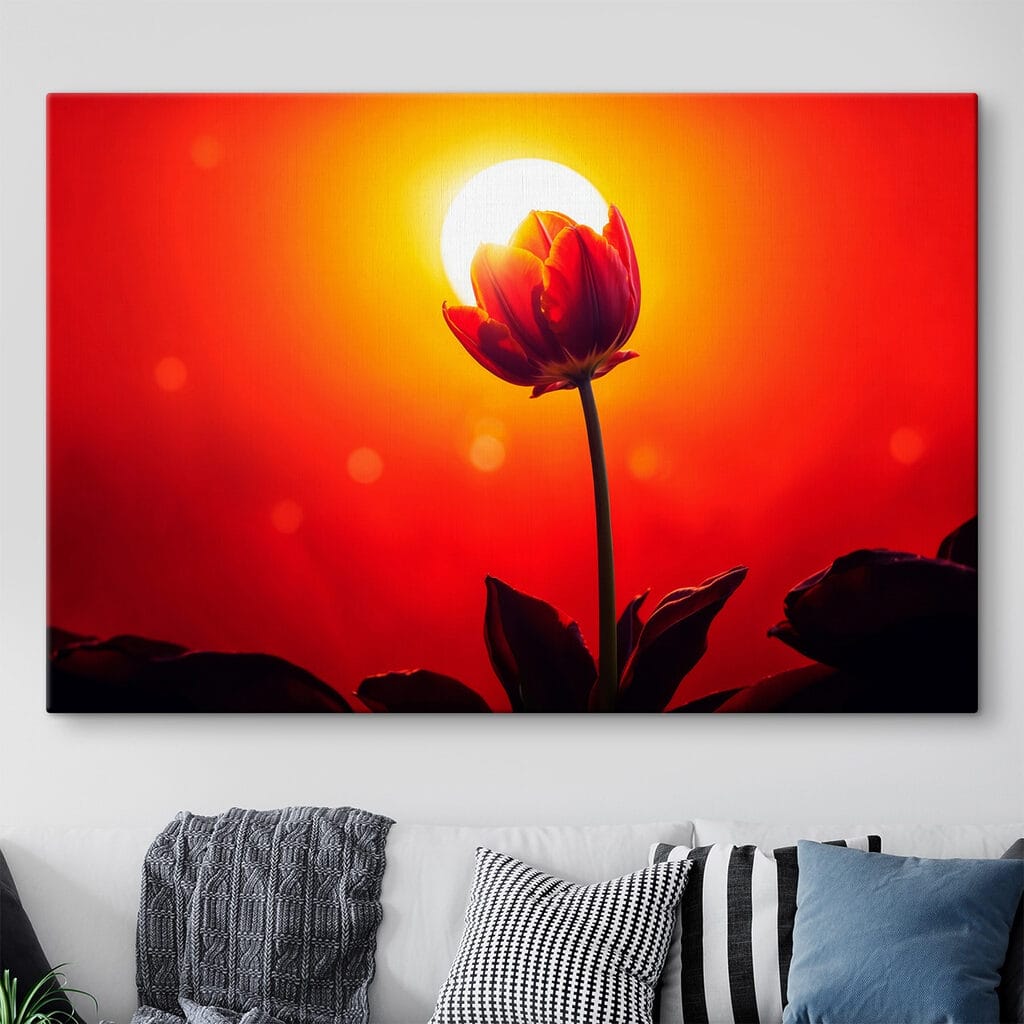 Červený tulipán před sluncem — interiér 1