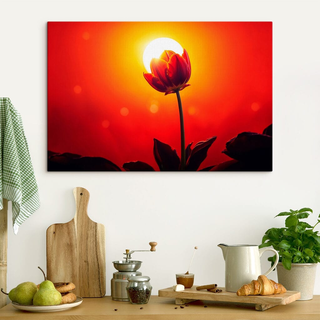 Červený tulipán před sluncem — interiér 4
