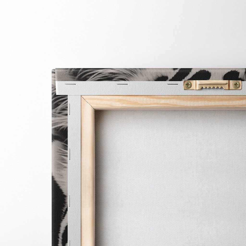 Leopard s modrýma očima — zadní strana