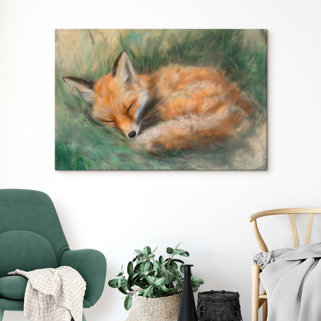 Spící liška v trávě — interiér 1