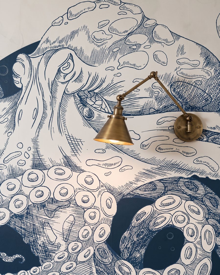 Kudrnatá chobotnice — detail