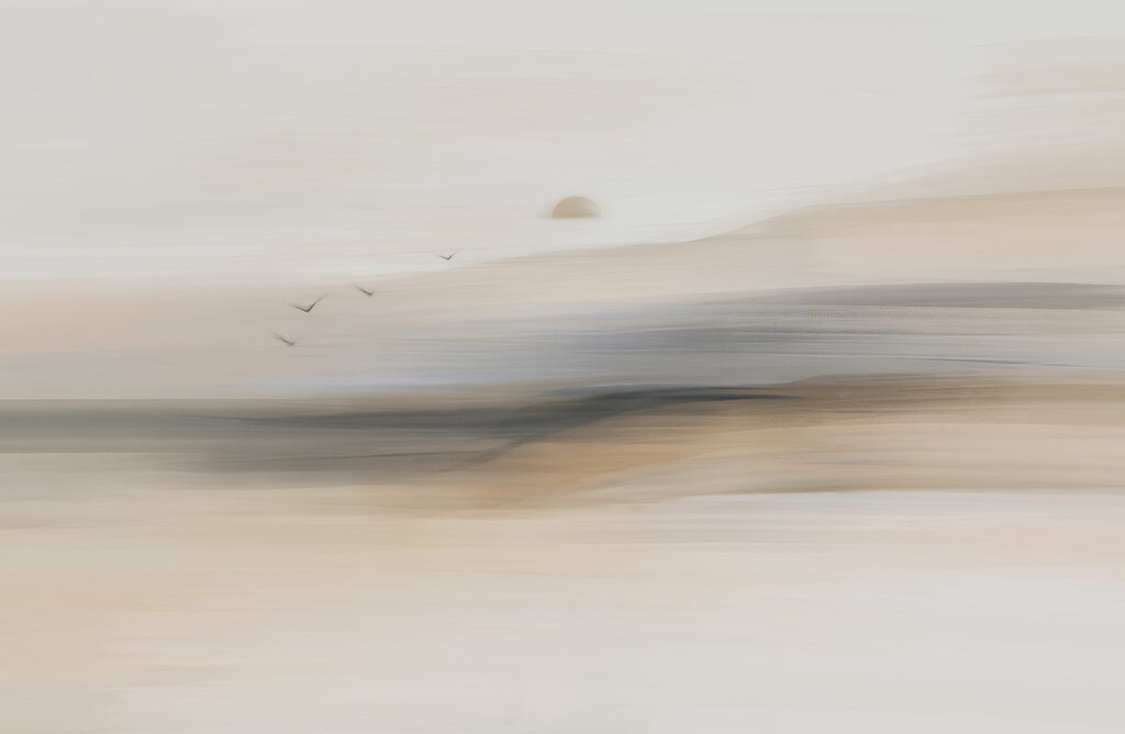 Ptáci u vzdálených břehů — celý design