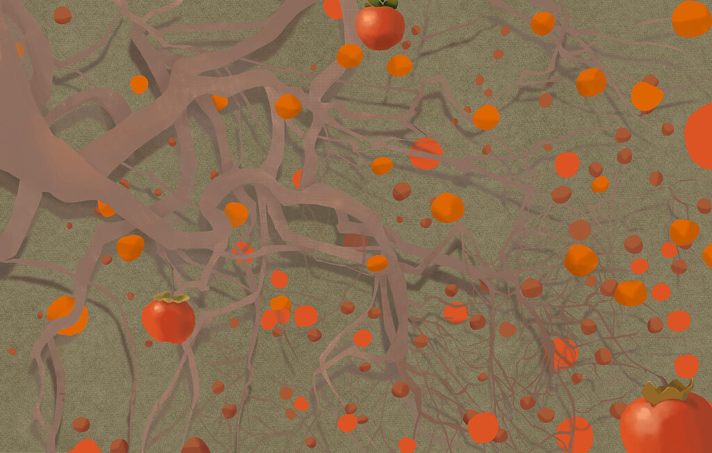 Oranžové plody mezi větvemi — celý design