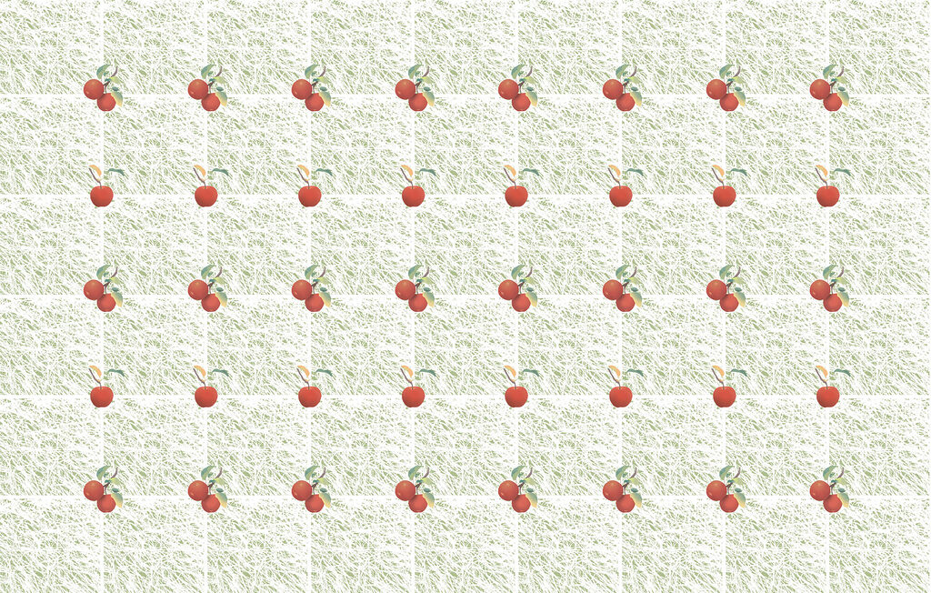 Třešně v jemné mřížce — celý design