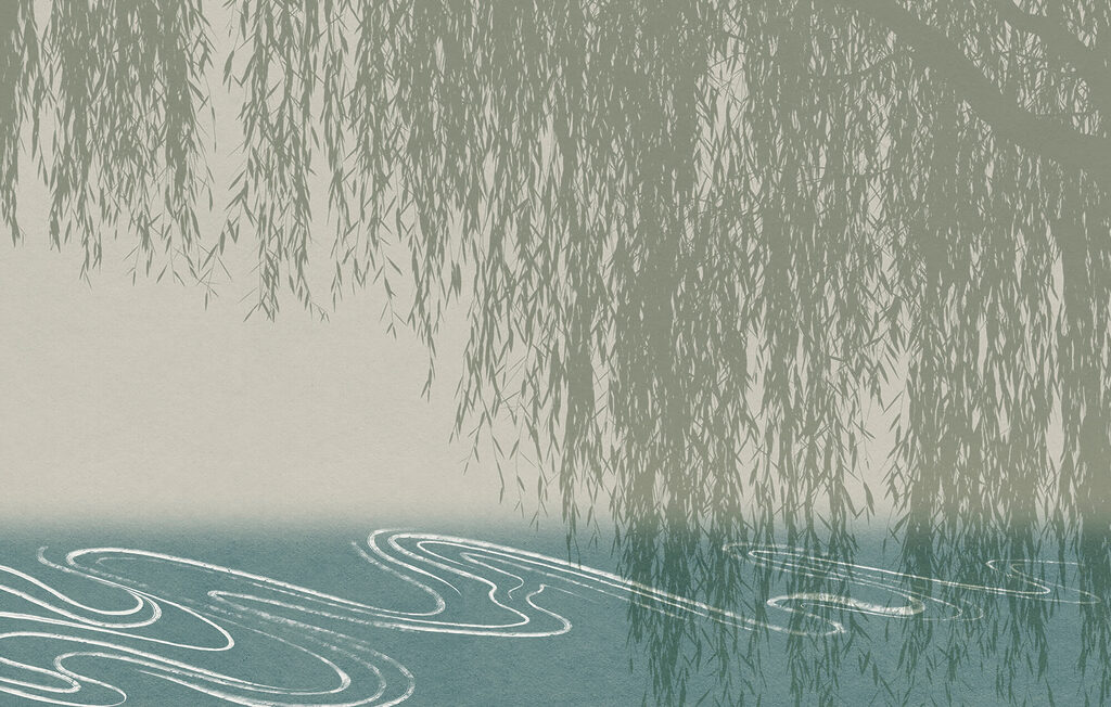 Převislé větve nad vodou — celý design