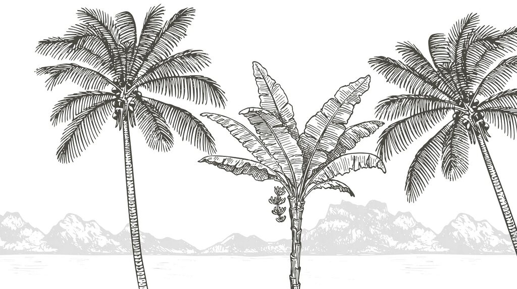 Palmy před horami — celý design