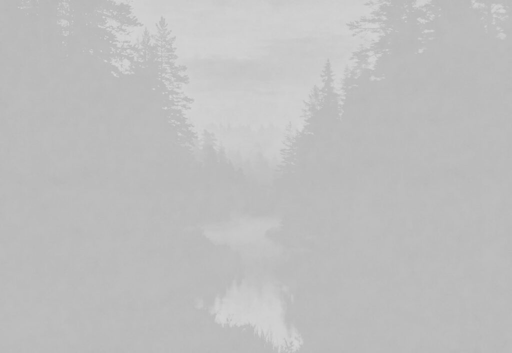 Mizející les — celý design