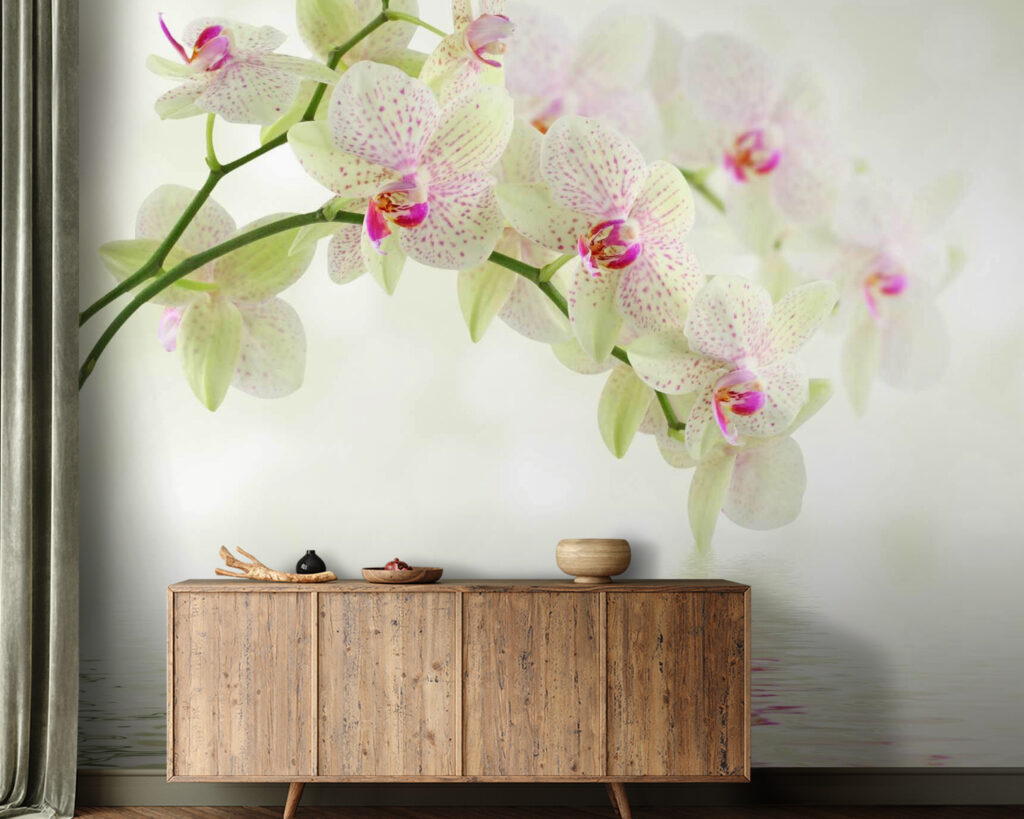 Světlá orchidej nad vodou — interiér 2