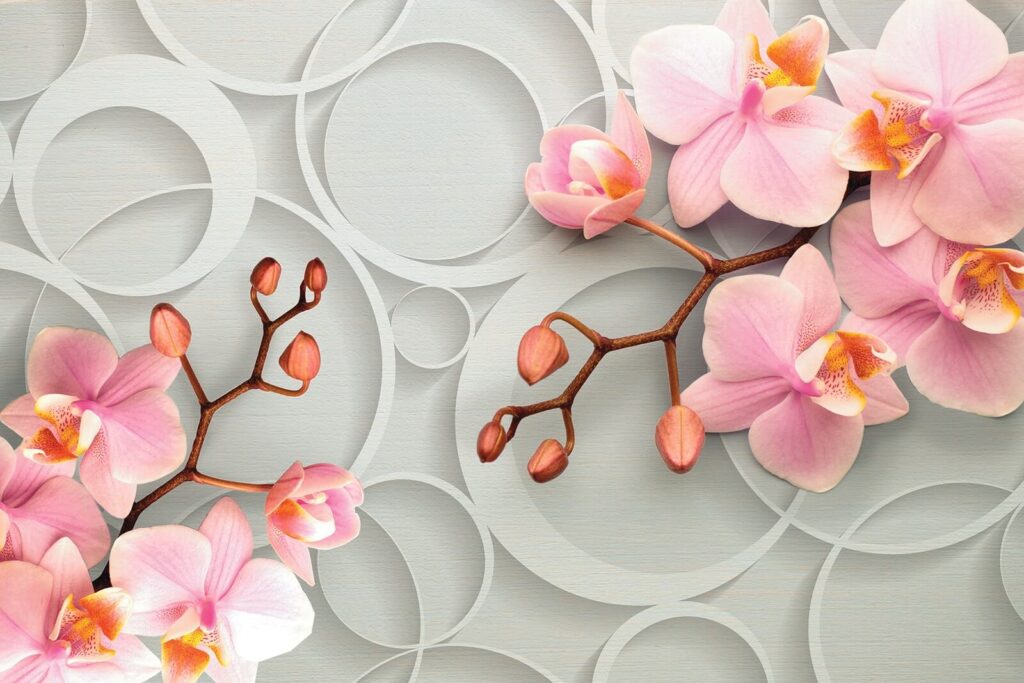 Růžové orchideje mezi kruhy — celý design