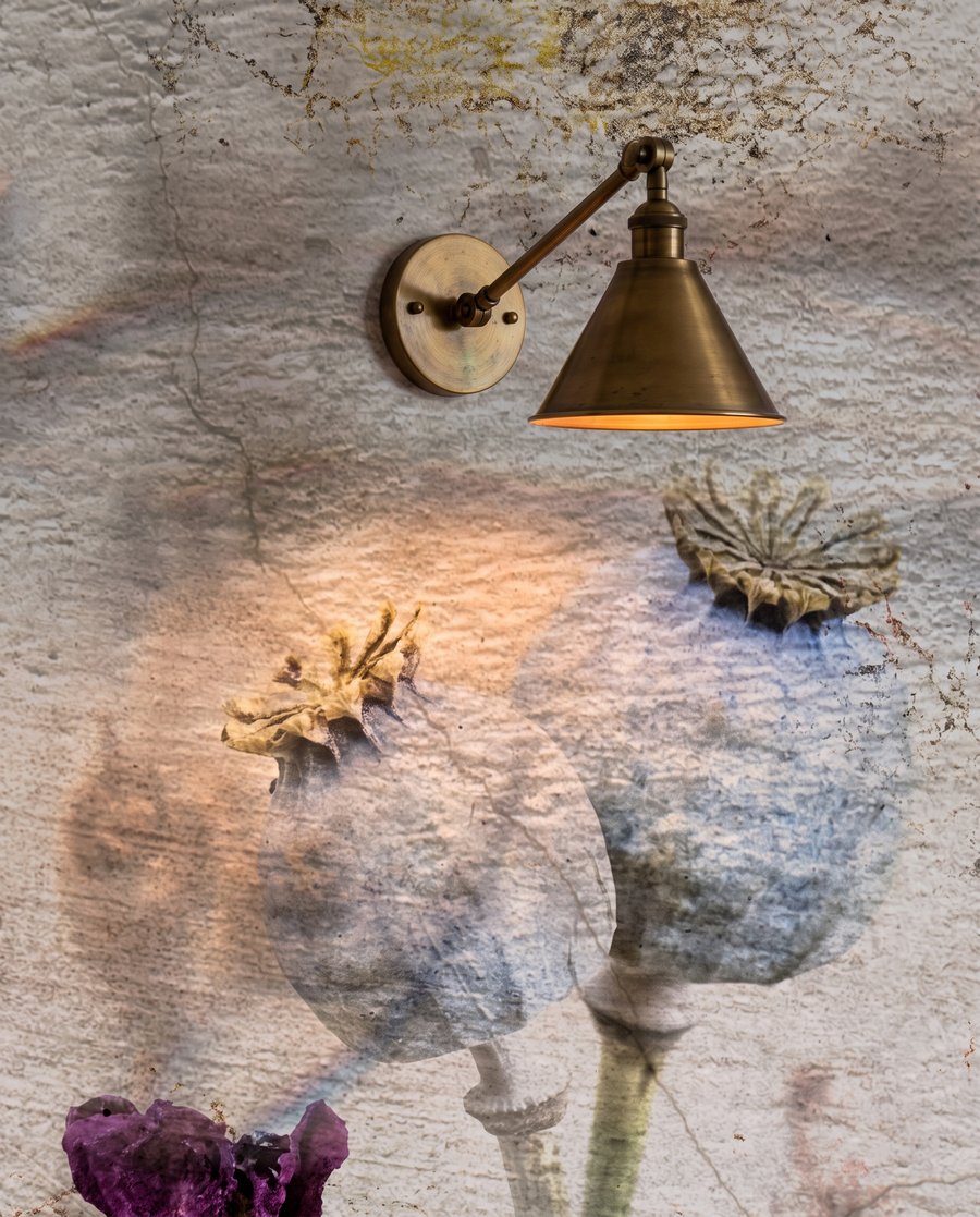 Bodláky u omšelé zdi — detail
