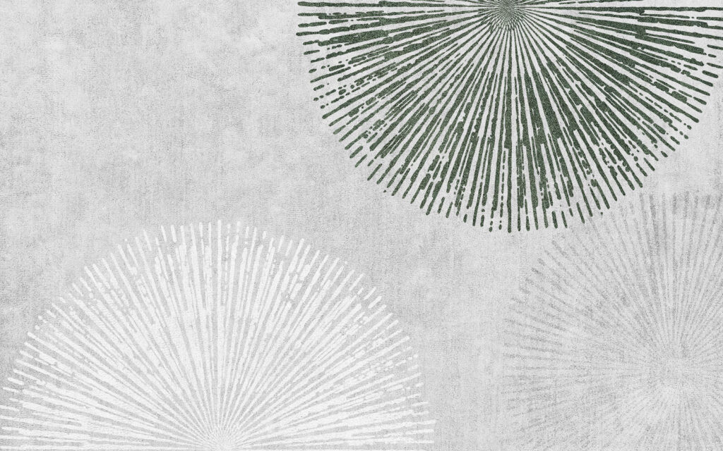 Kruhy z jemných paprsků — celý design