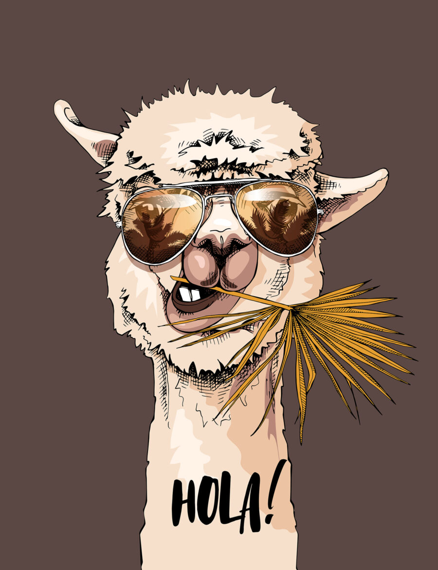 Lama se slunečními brýlemi — celý design