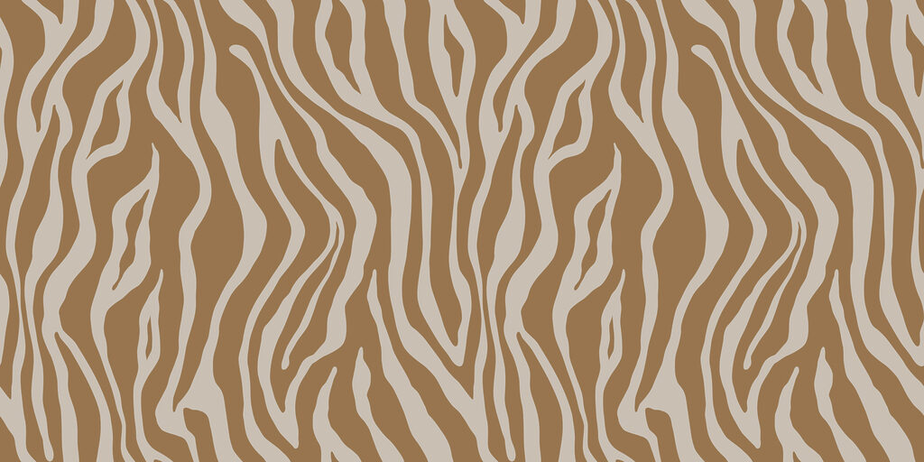 Zebří pruhy — celý design