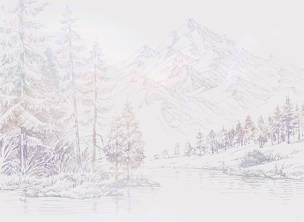 Zimní jezero mezi jehličnany — celý design
