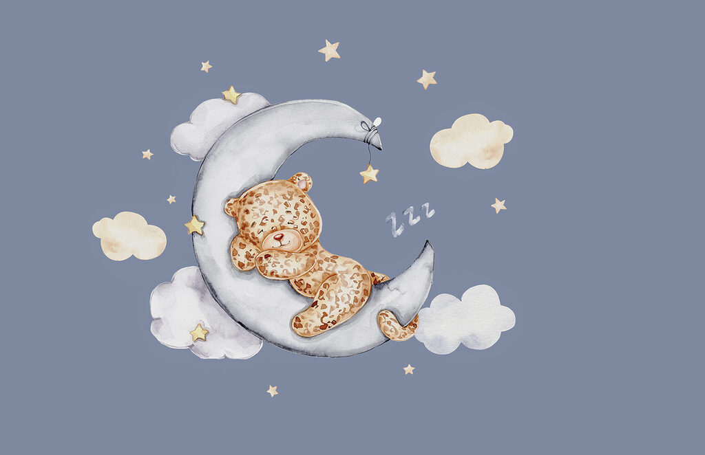 Leopardík na měsíci — celý design