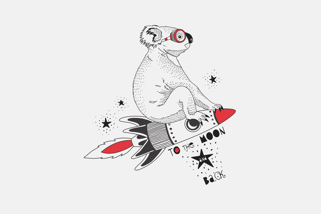 Koala na raketě — celý design