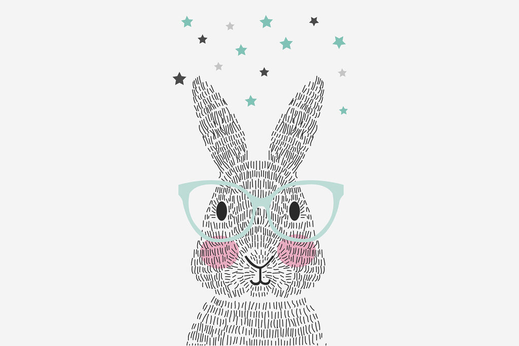 Králík s brýlemi — celý design