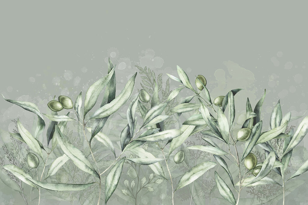 Olivové větve — celý design