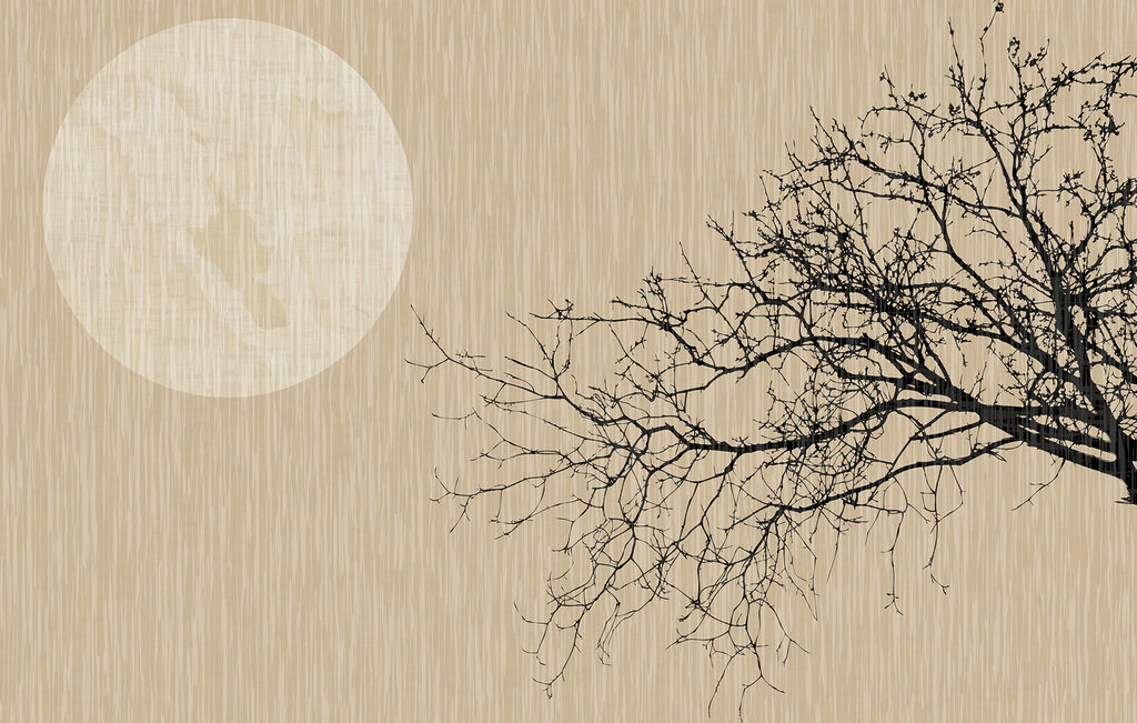 Větev před měsícem — celý design
