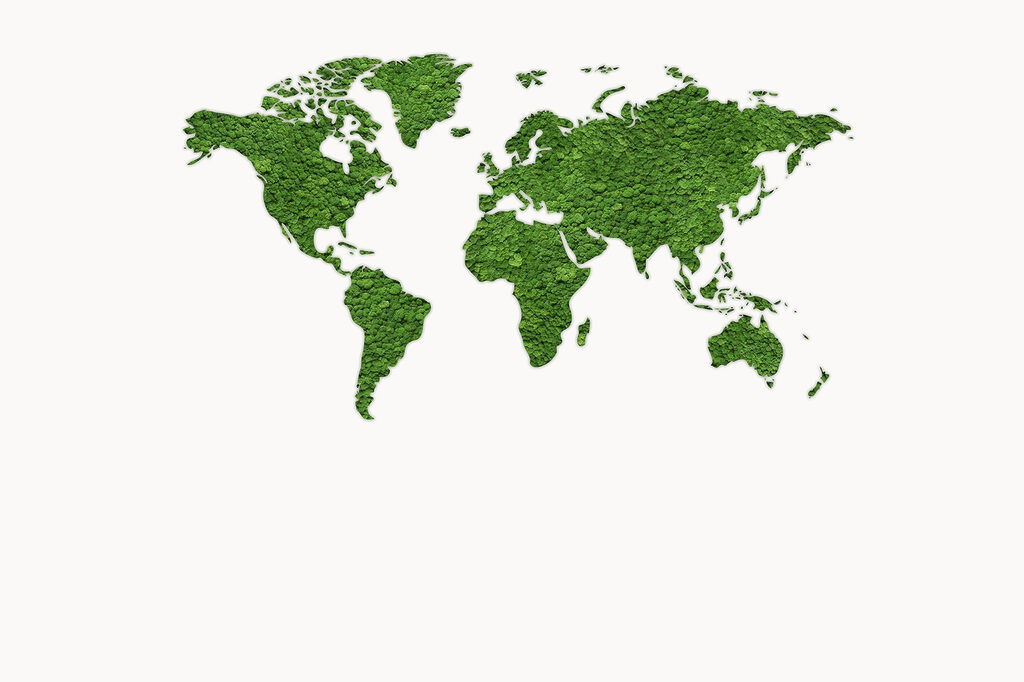 Mapa světa s texturou — celý design