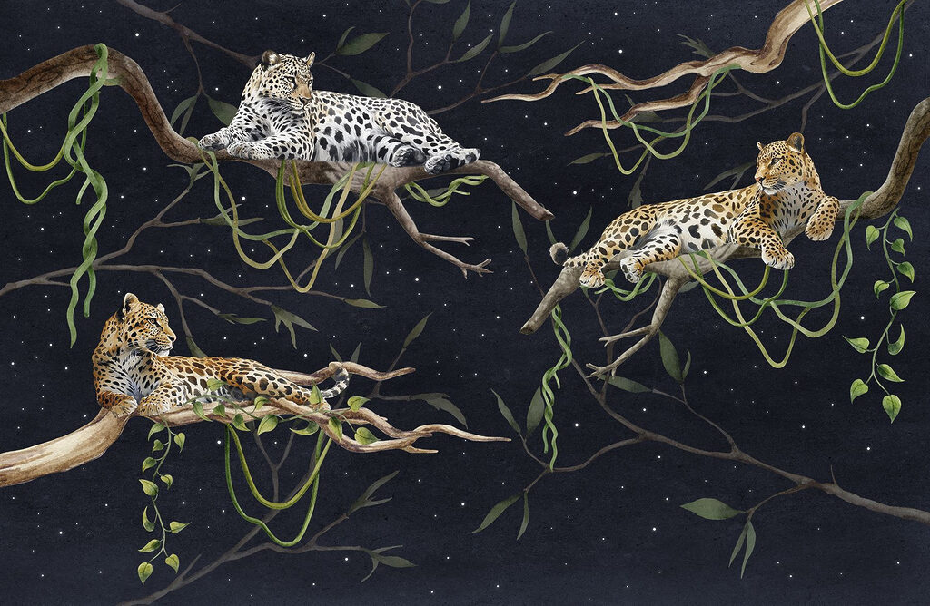 Leopardi pod hvězdami — celý design