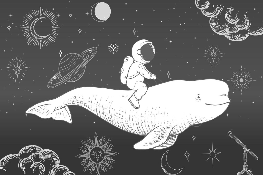 Astronaut na vesmírné velrybě — celý design