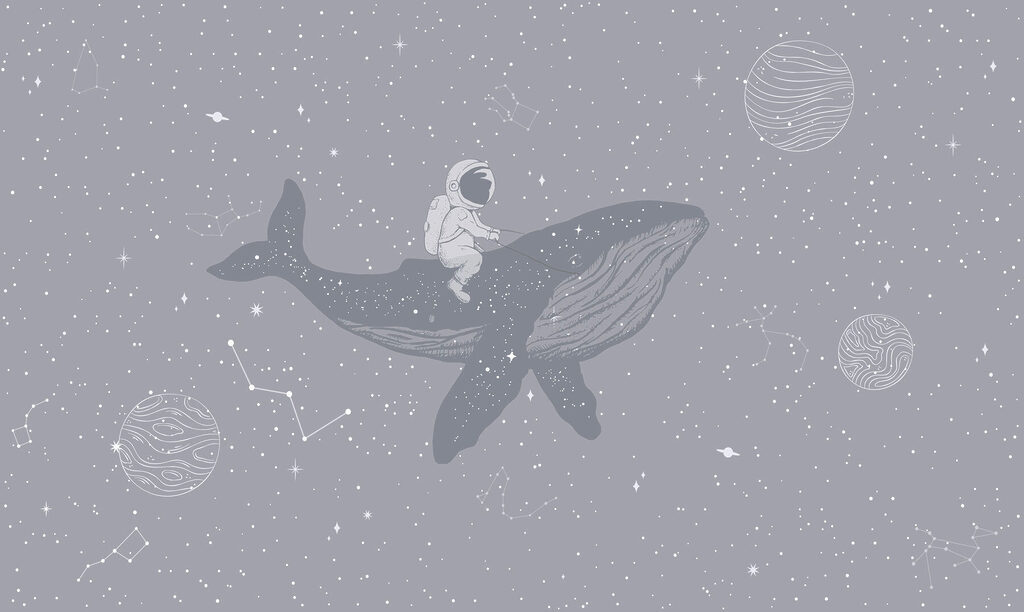 Astronaut na velrybě — celý design