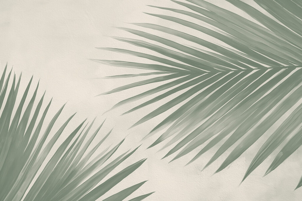 Dva palmové listy — celý design