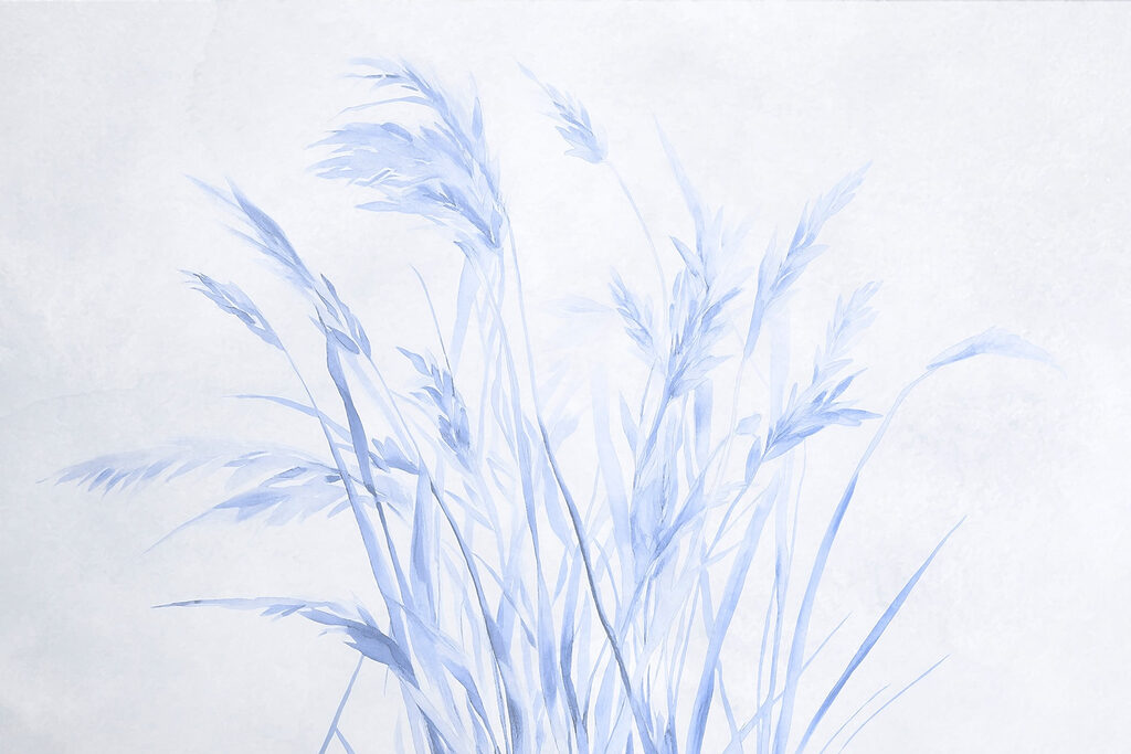 Trávy v tužkových liniích — celý design